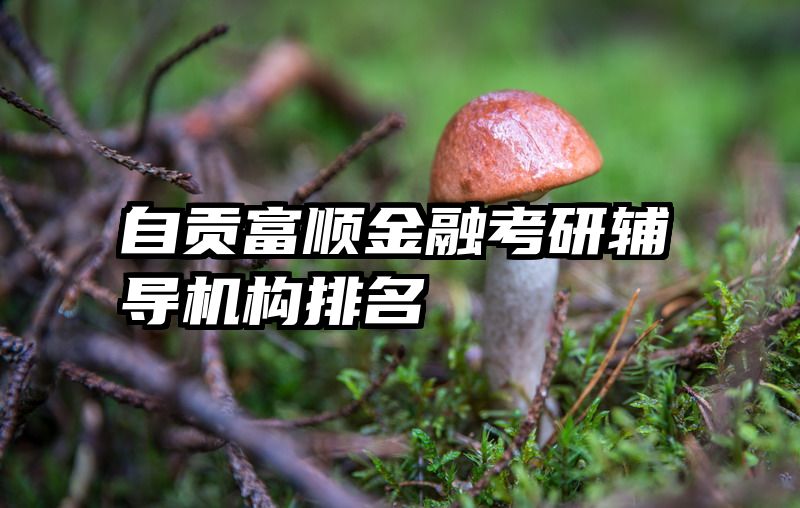 自贡富顺金融考研辅导机构排名