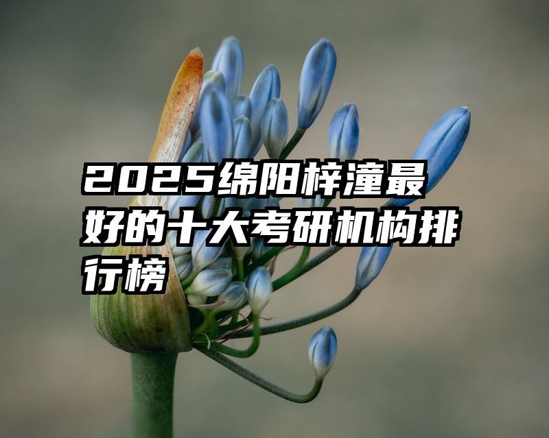 2025绵阳梓潼最好的十大考研机构排行榜