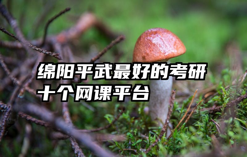 绵阳平武最好的考研十个网课平台