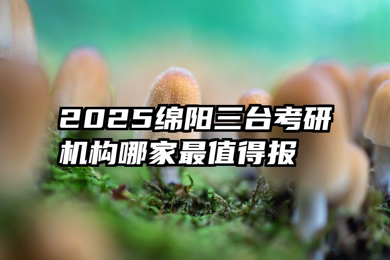 2025绵阳三台考研机构哪家最值得报