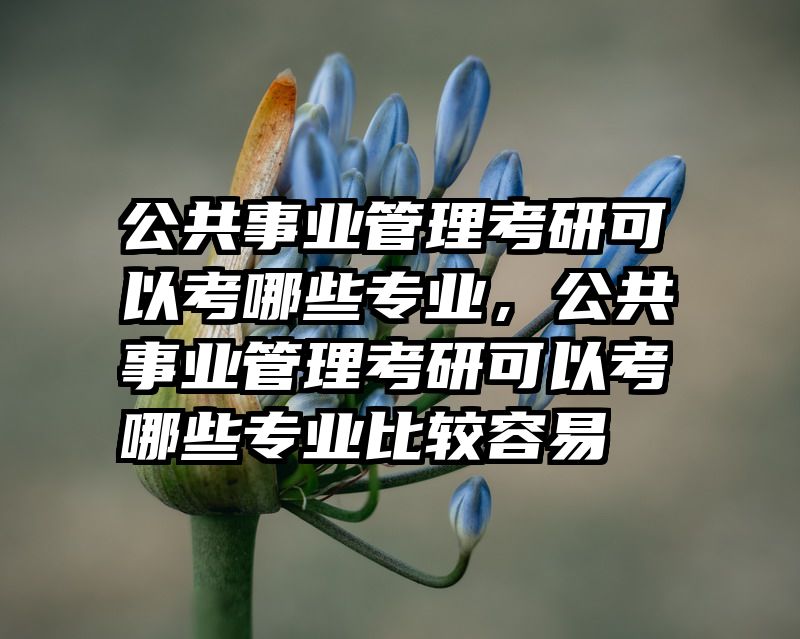 公共事业管理考研可以考哪些专业，公共事业管理考研可以考哪些专业比较容易