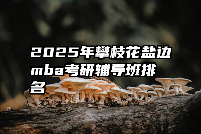 2025年攀枝花盐边mba考研辅导班排名