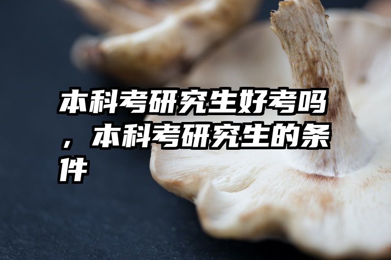 本科考研究生好考吗，本科考研究生的条件