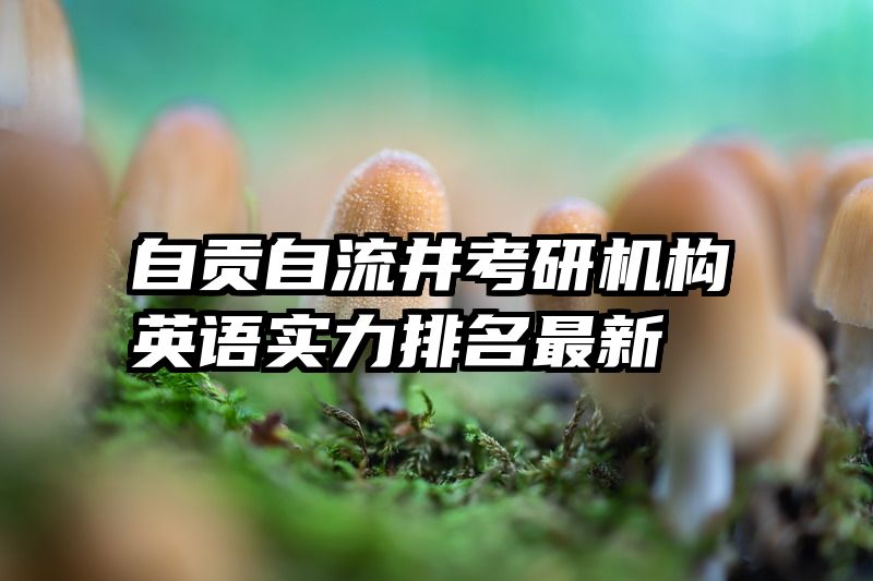 自贡自流井考研机构英语实力排名最新