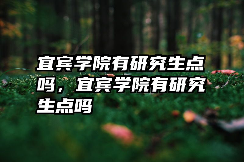 宜宾学院有研究生点吗，宜宾学院有研究生点吗