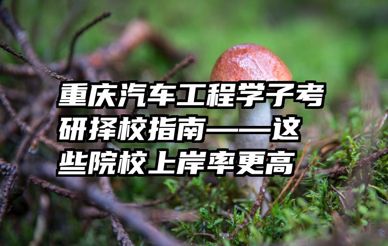 重庆汽车工程学子考研择校指南——这些院校上岸率更高