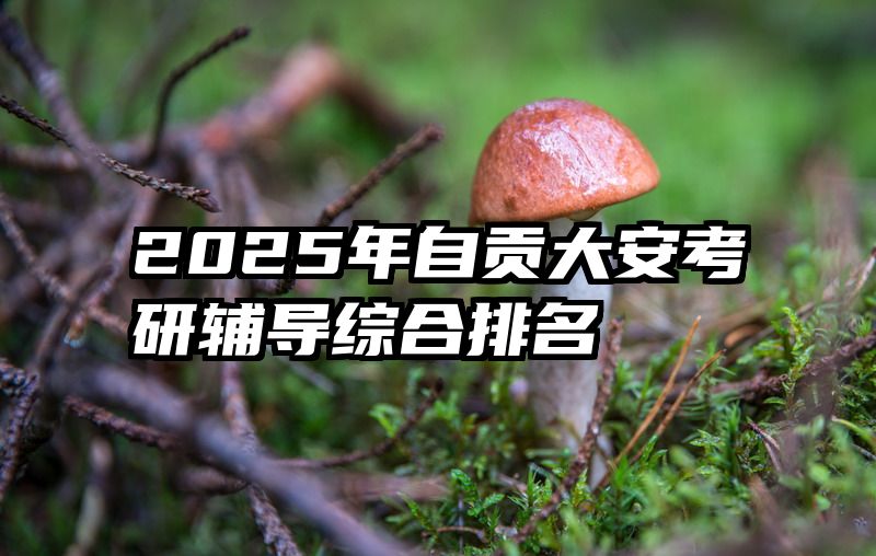 2025年自贡大安考研辅导综合排名
