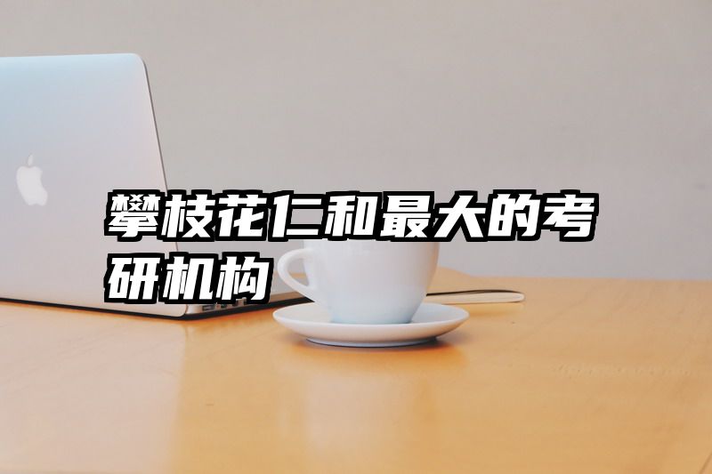 攀枝花仁和最大的考研机构