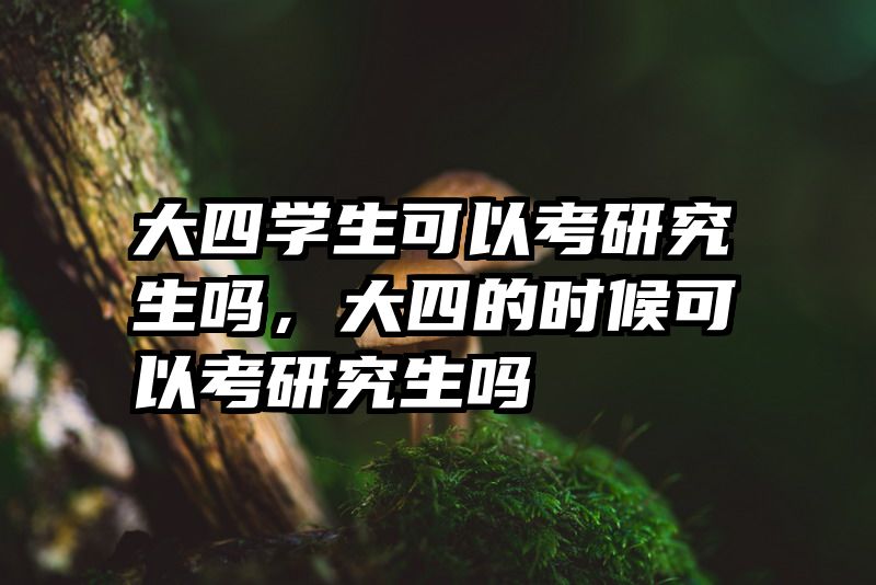大四学生可以考研究生吗，大四的时候可以考研究生吗