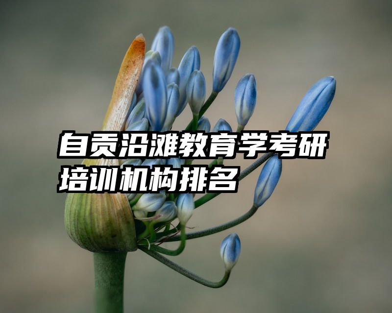 自贡沿滩教育学考研培训机构排名