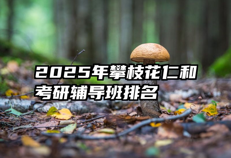 2025年攀枝花仁和考研辅导班排名