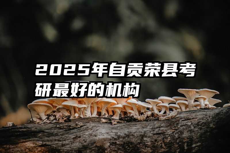 2025年自贡荣县考研最好的机构