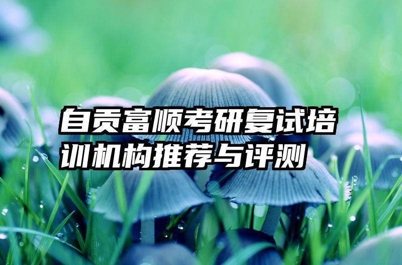 自贡富顺考研复试培训机构推荐与评测