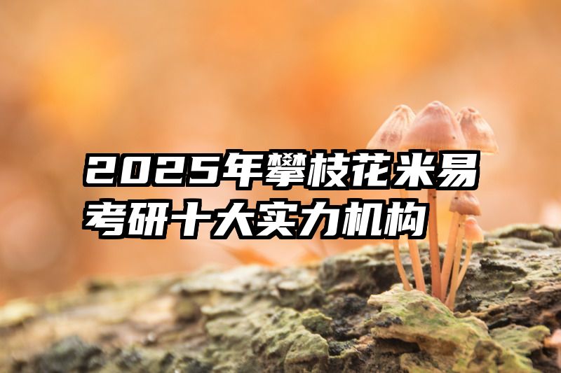2025年攀枝花米易考研十大实力机构