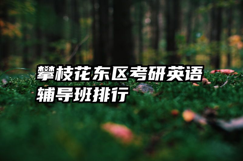 攀枝花东区考研英语辅导班排行