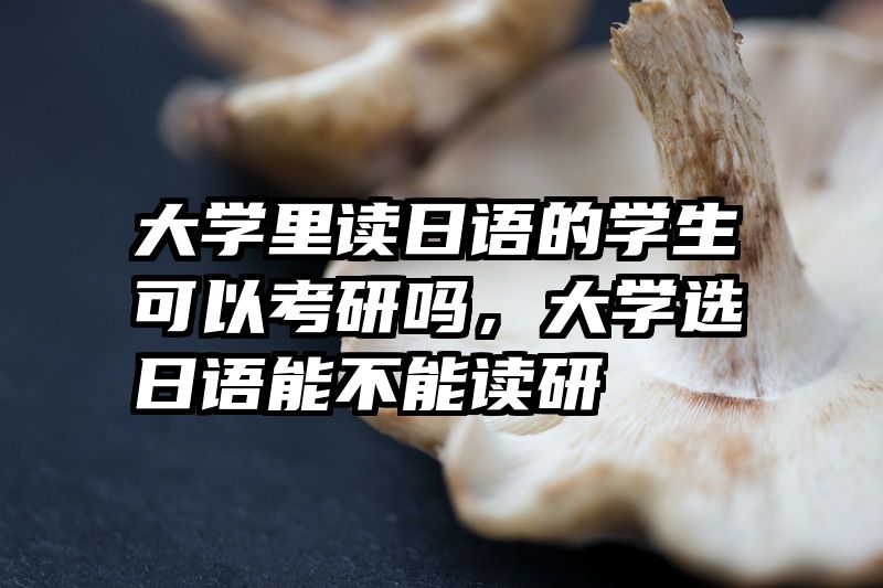 大学里读日语的学生可以考研吗，大学选日语能不能读研