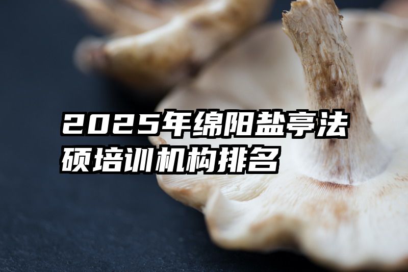 2025年绵阳盐亭法硕培训机构排名