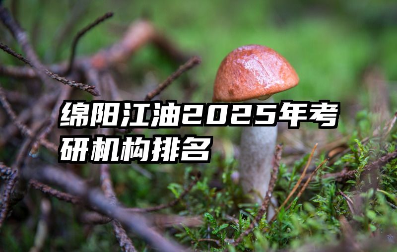 绵阳江油2025年考研机构排名
