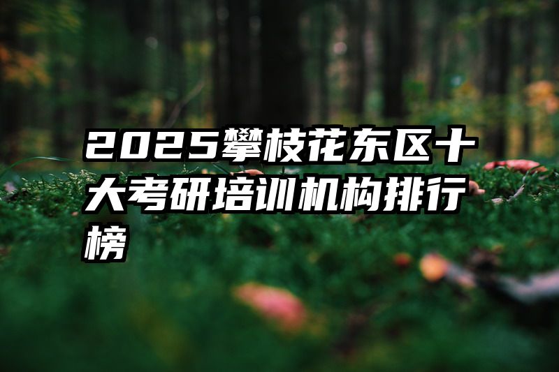 2025攀枝花东区十大考研培训机构排行榜