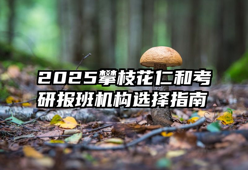 2025攀枝花仁和考研报班机构选择指南