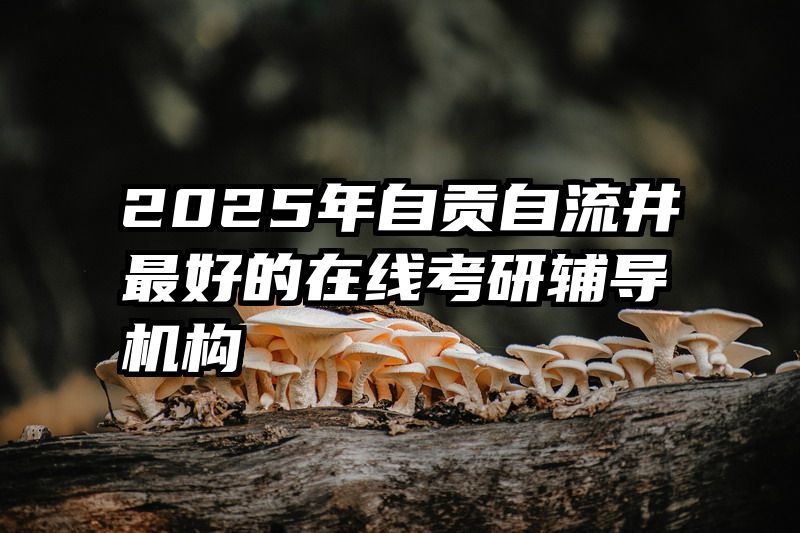 2025年自贡自流井最好的在线考研辅导机构