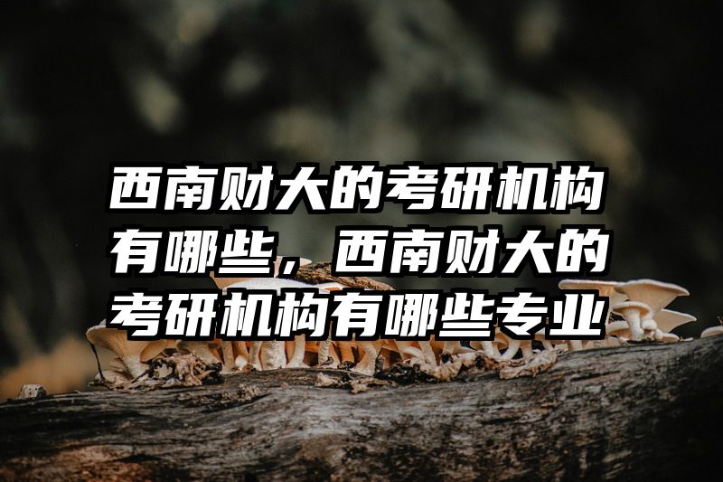 西南财大的考研机构有哪些，西南财大的考研机构有哪些专业