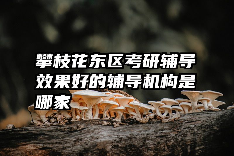 攀枝花东区考研辅导效果好的辅导机构是哪家