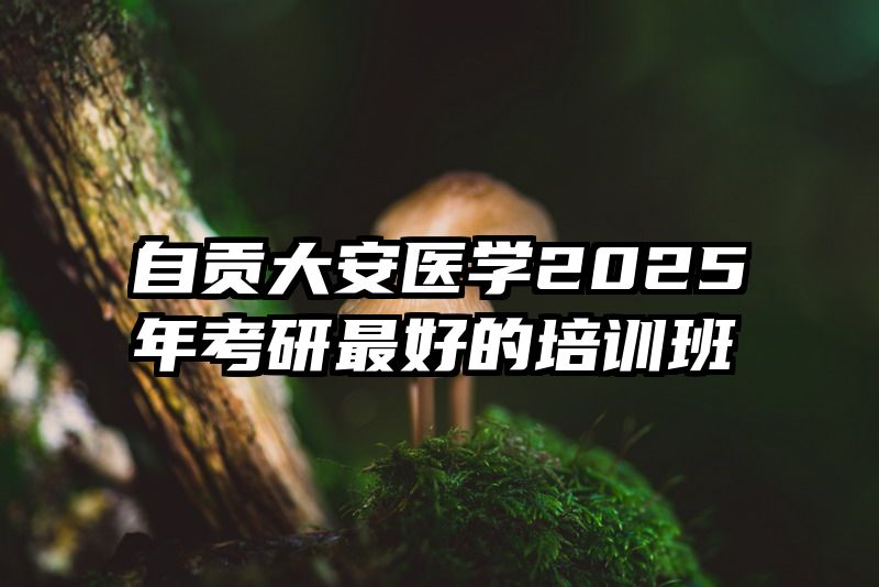 自贡大安医学2025年考研最好的培训班