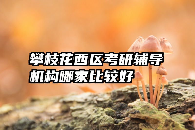 攀枝花西区考研辅导机构哪家比较好