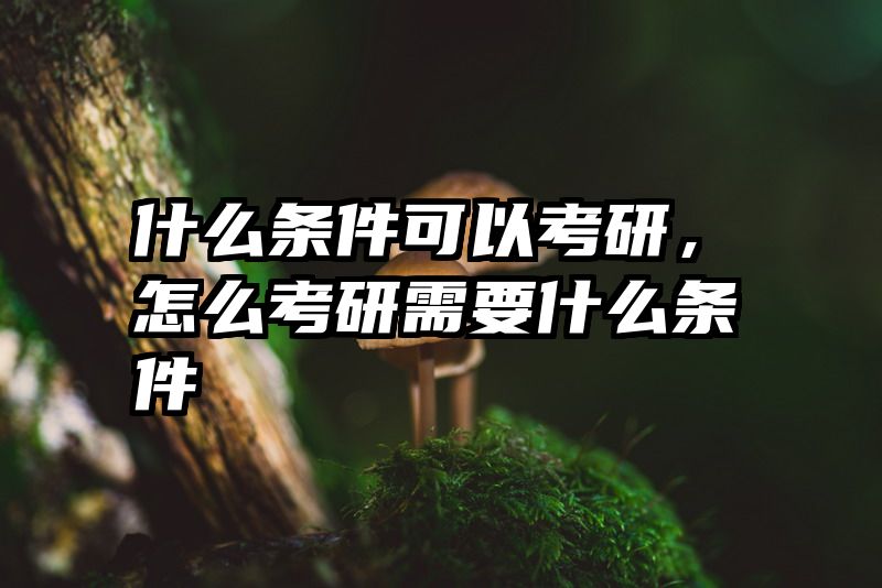 什么条件可以考研，怎么考研需要什么条件