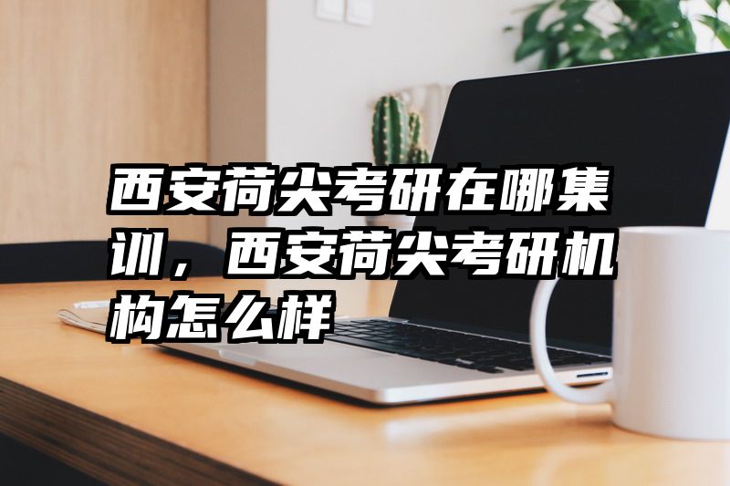 西安荷尖考研在哪集训，西安荷尖考研机构怎么样