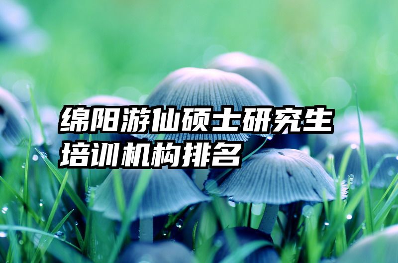 绵阳游仙硕士研究生培训机构排名