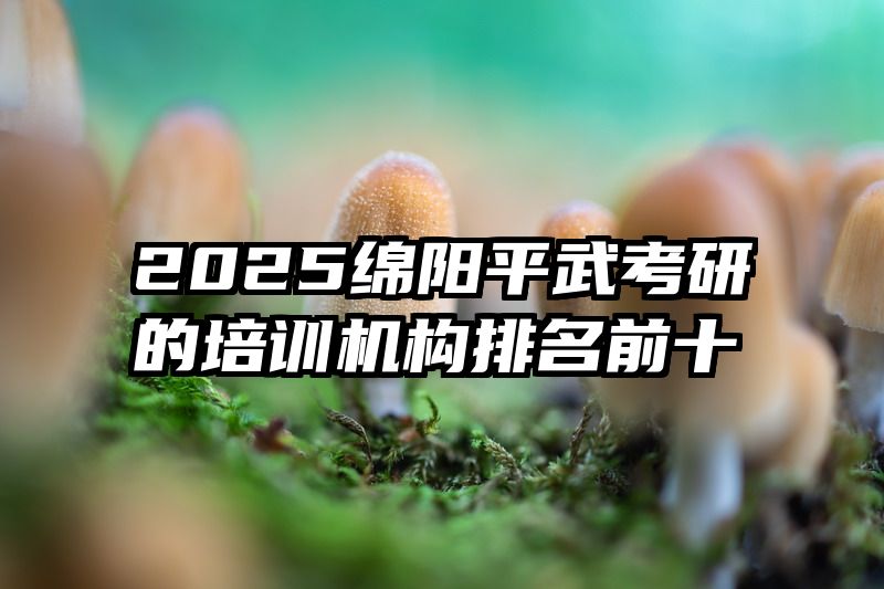 2025绵阳平武考研的培训机构排名前十