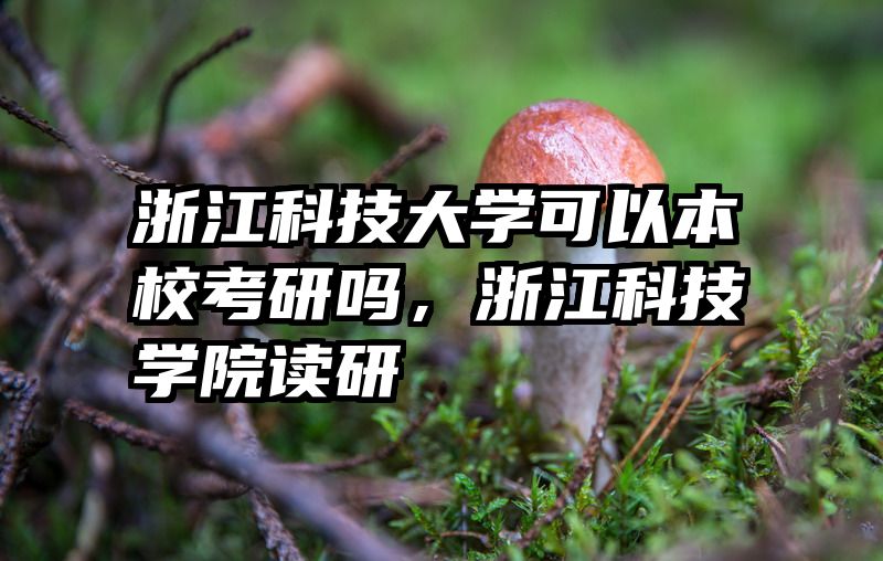 浙江科技大学可以本校考研吗，浙江科技学院读研