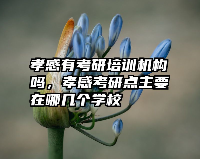 孝感有考研培训机构吗，孝感考研点主要在哪几个学校