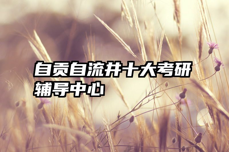 自贡自流井十大考研辅导中心