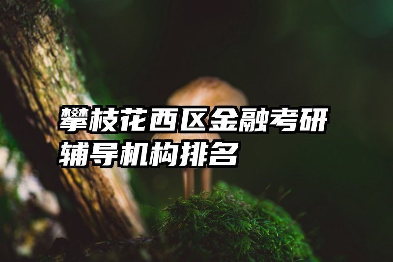 攀枝花西区金融考研辅导机构排名