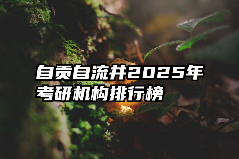 自贡自流井2025年考研机构排行榜