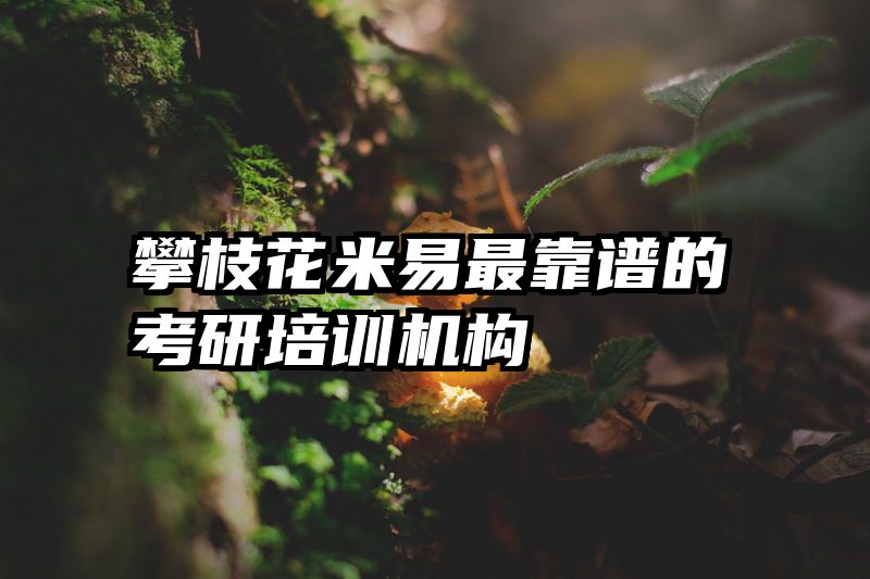 攀枝花米易最靠谱的考研培训机构