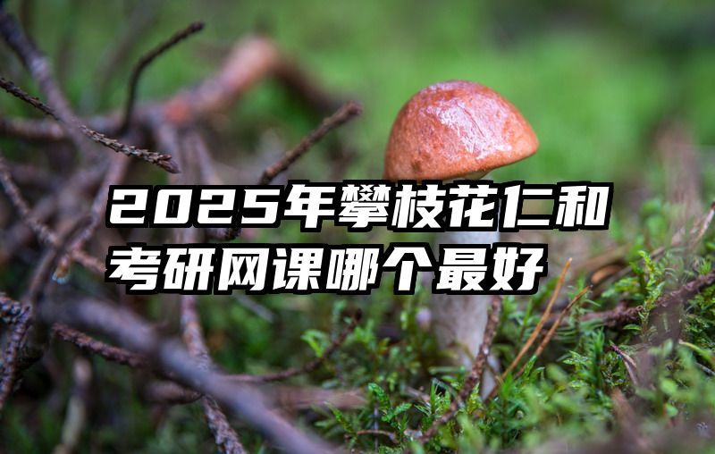 2025年攀枝花仁和考研网课哪个最好