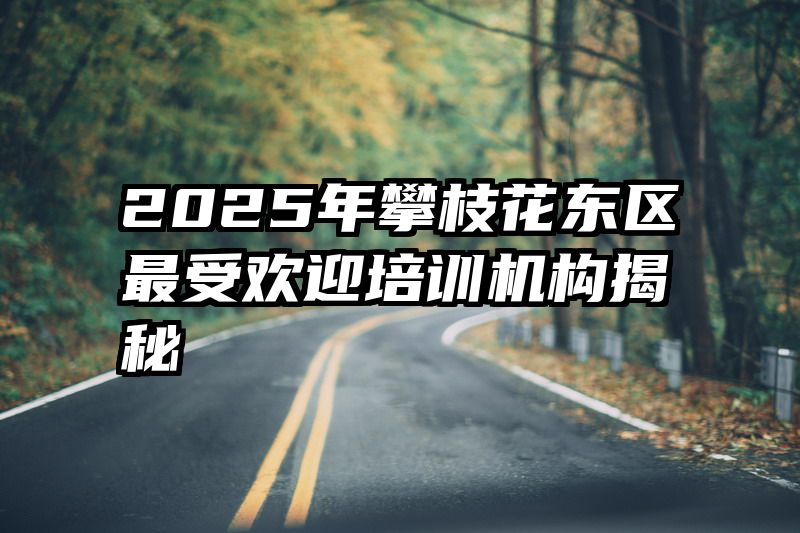 2025年攀枝花东区最受欢迎培训机构揭秘