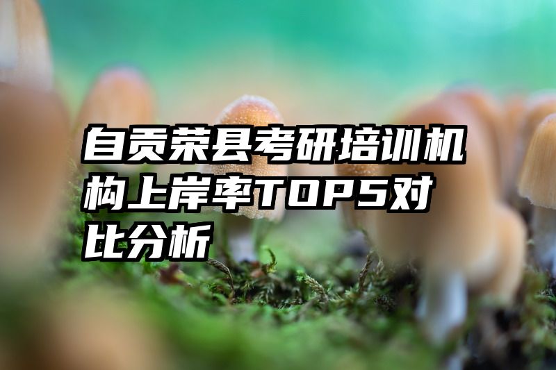 自贡荣县考研培训机构上岸率TOP5对比分析