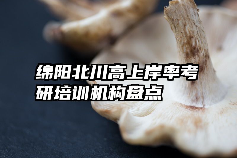 绵阳北川高上岸率考研培训机构盘点