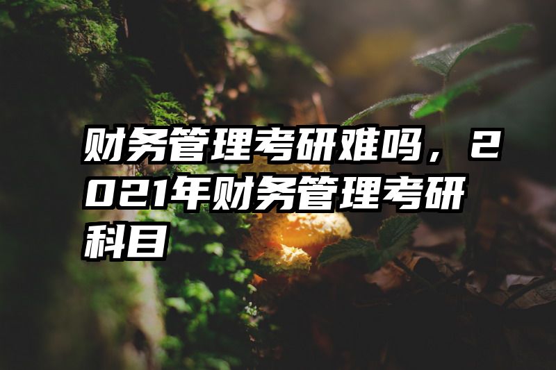 财务管理考研难吗，2021年财务管理考研科目