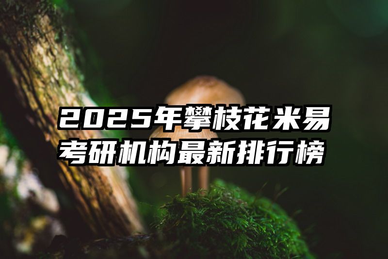 2025年攀枝花米易考研机构最新排行榜