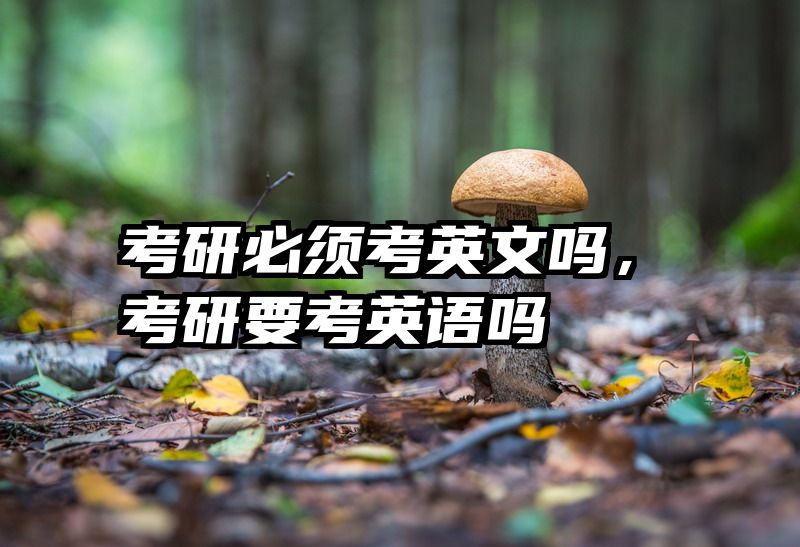 考研必须考英文吗，考研要考英语吗
