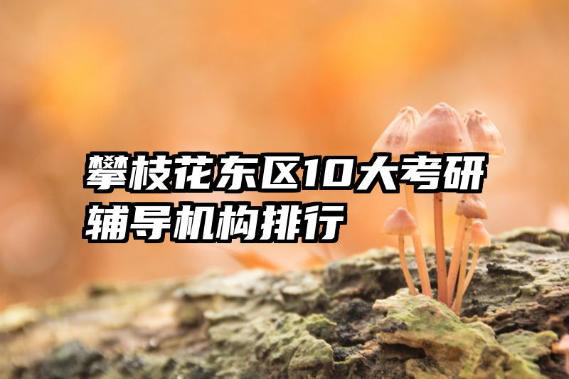 攀枝花东区10大考研辅导机构排行