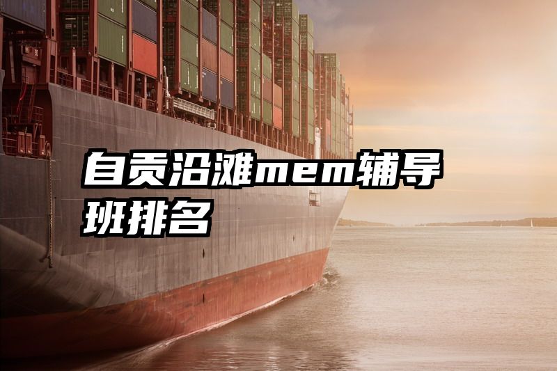 自贡沿滩mem辅导班排名