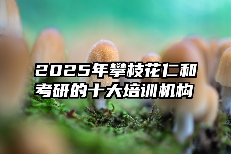 2025年攀枝花仁和考研的十大培训机构