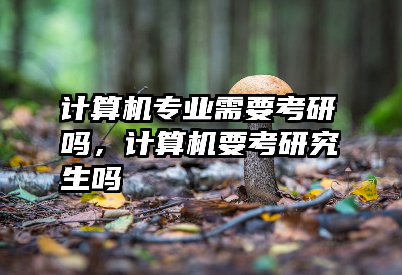 计算机专业需要考研吗，计算机要考研究生吗